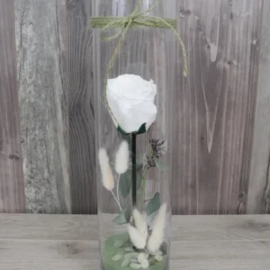 Rose éternelle & eucalyptus À la Boîte à Fleurs