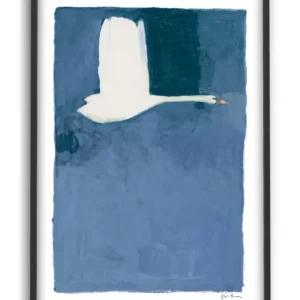 Affiche 50x70 - Jorgen Hansson Swan