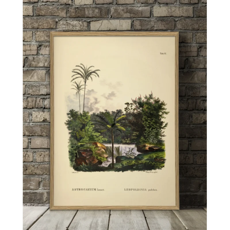 Affiche Astrocaryum Lauari Leopoldina A2 - Dybdahl Co