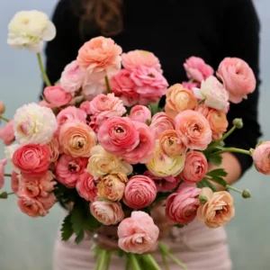 Affiche Bouquet
