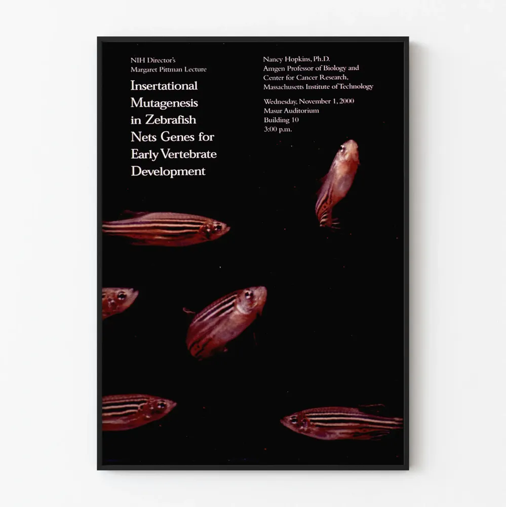 Affiche décorative scientifique avec poissons zèbres et texte sur mutagenèse