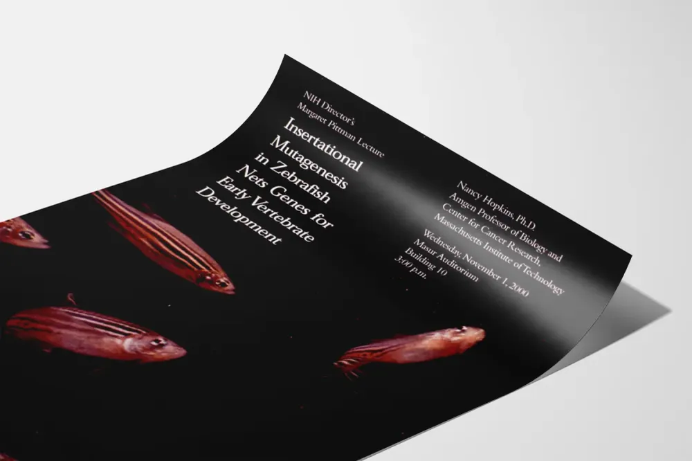 Affiche décorative scientifique avec poissons zèbres et texte sur mutagenèse