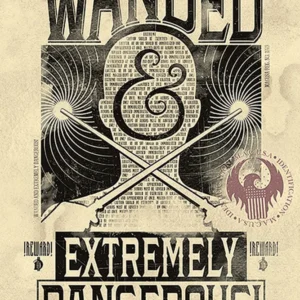 Affiche des Animaux Fantastiques : Wanded & Extremely Dangerous