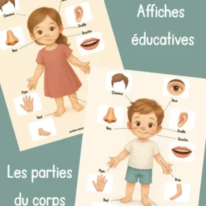 A5 - Affiche éducative - Le corps humain