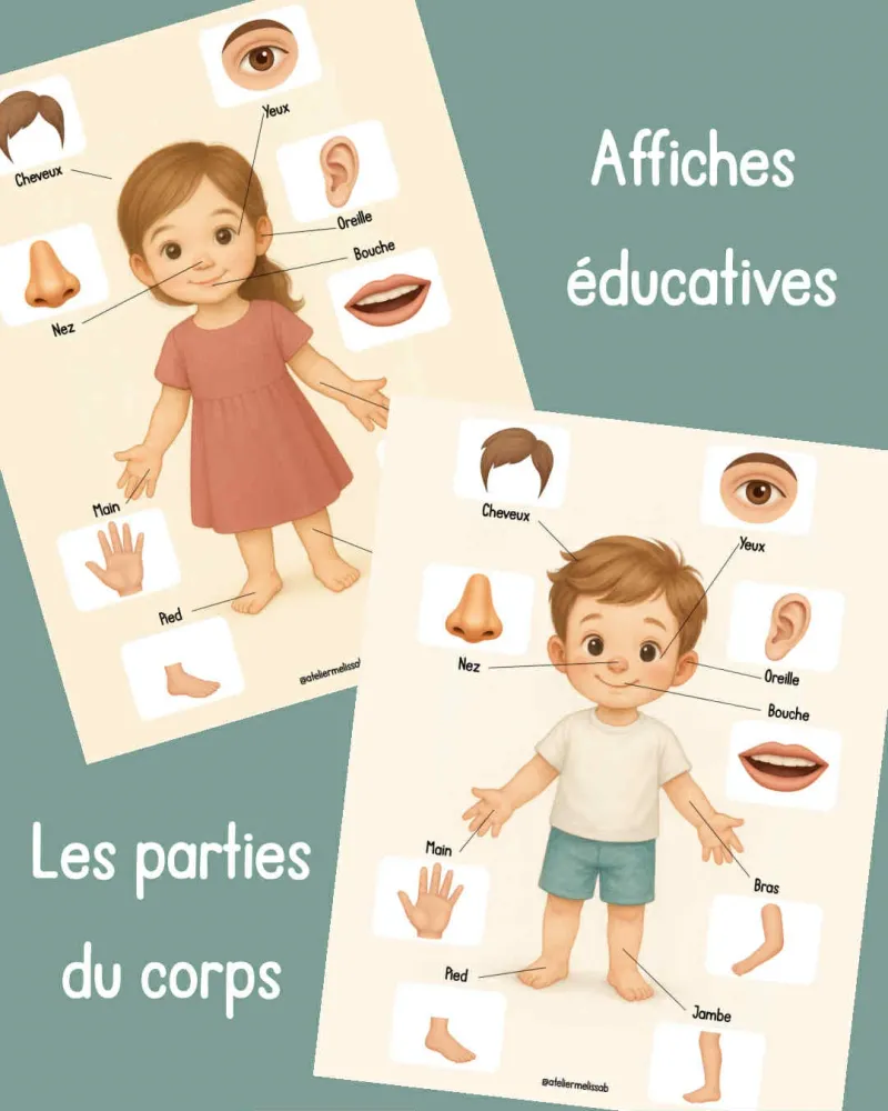 A5 - Affiche éducative - Le corps humain