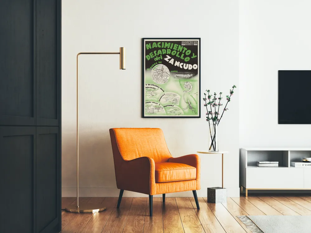 Affiche éducative vintage : Naissance et développement du moustique