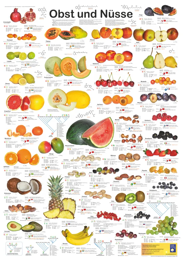 Affiche Fruits et Noix (allemand) DIN A1