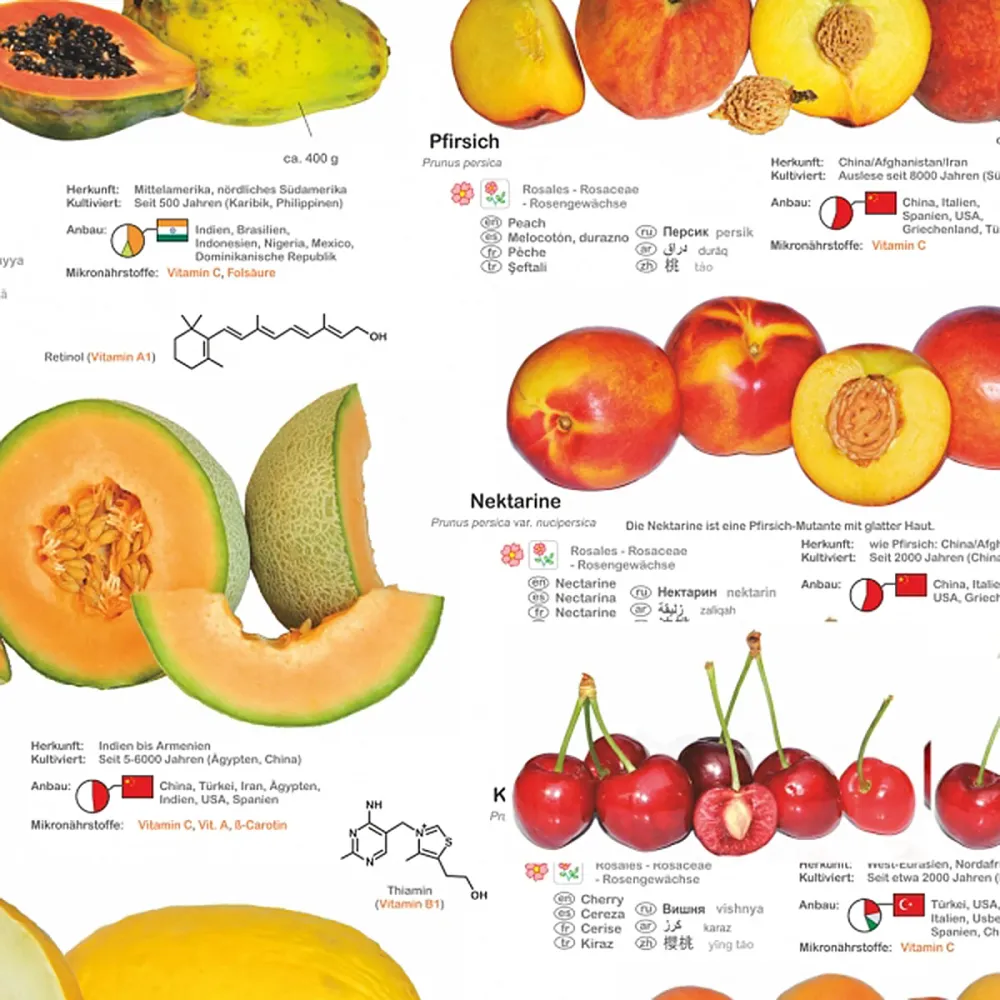 Affiche Fruits et Noix (allemand) DIN A1