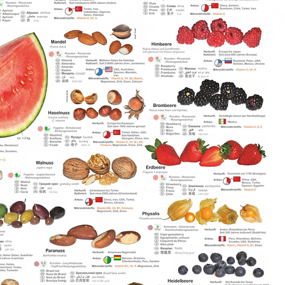 Affiche Fruits et Noix (allemand) DIN A1