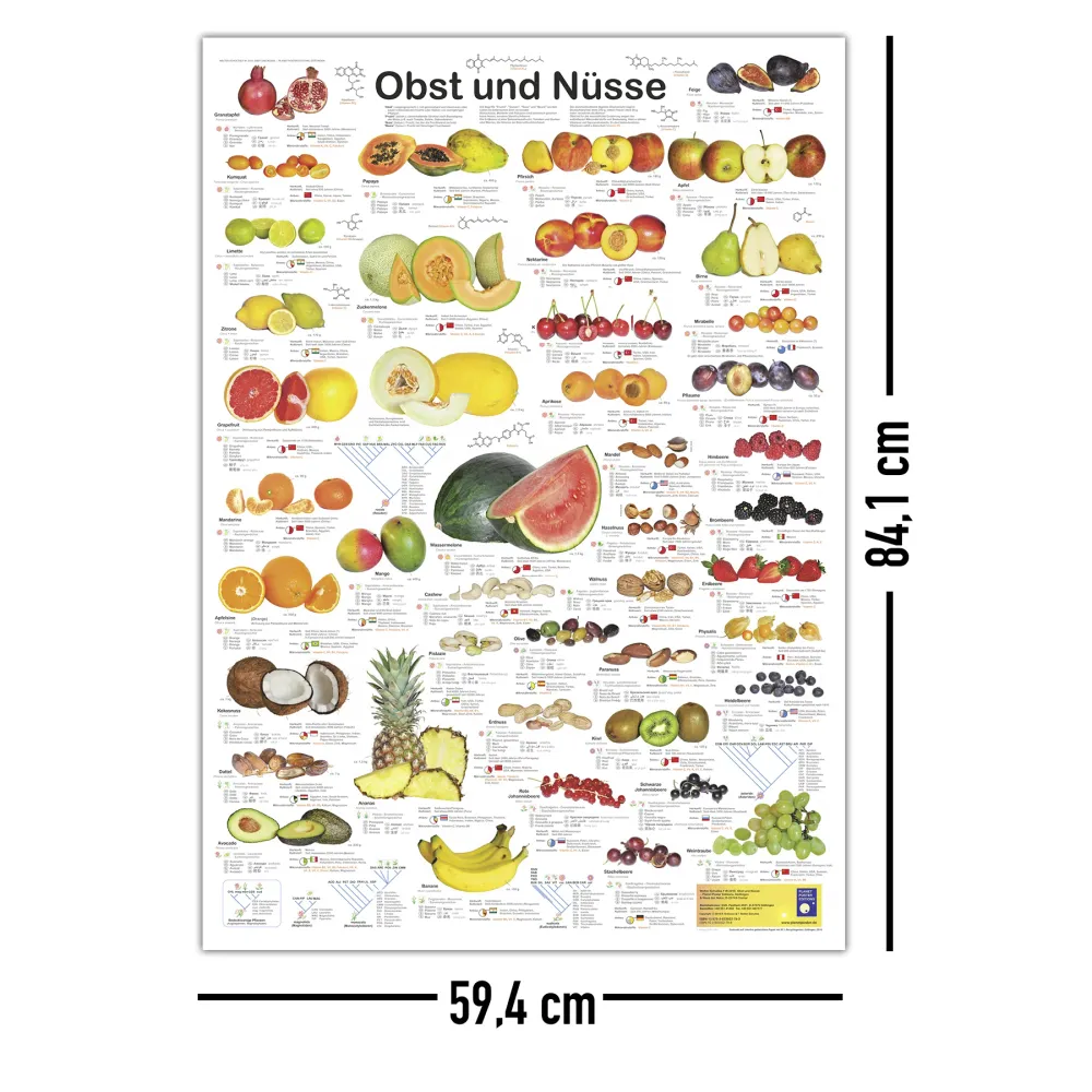 Affiche Fruits et Noix (allemand) DIN A1