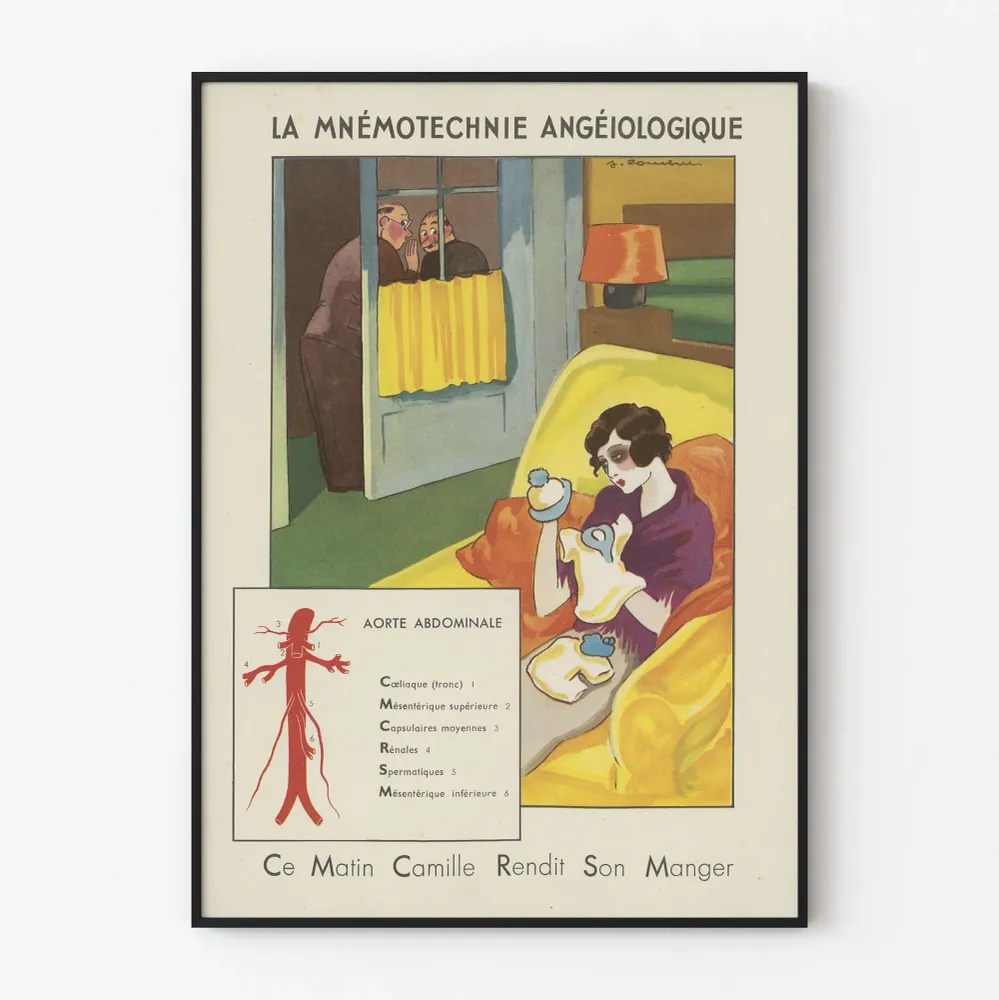 Affiche Murale Vintage La MnémoTechnie Angéiologique - Illustration Anatomique