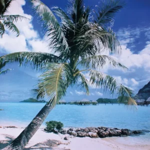 Affiche de la plage de l'île de Bora Bora