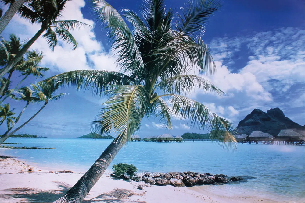 Affiche de la plage de l'île de Bora Bora
