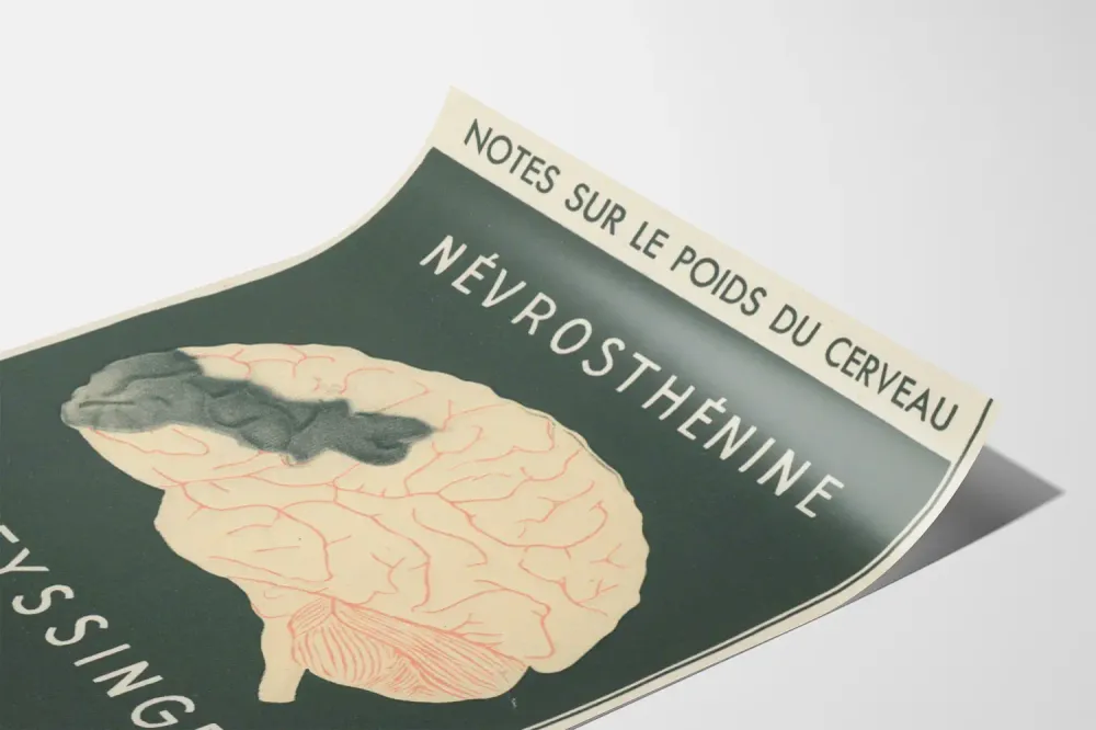 Affiche Scientifique Vintage sur la Névrosothénerie Cerebrale