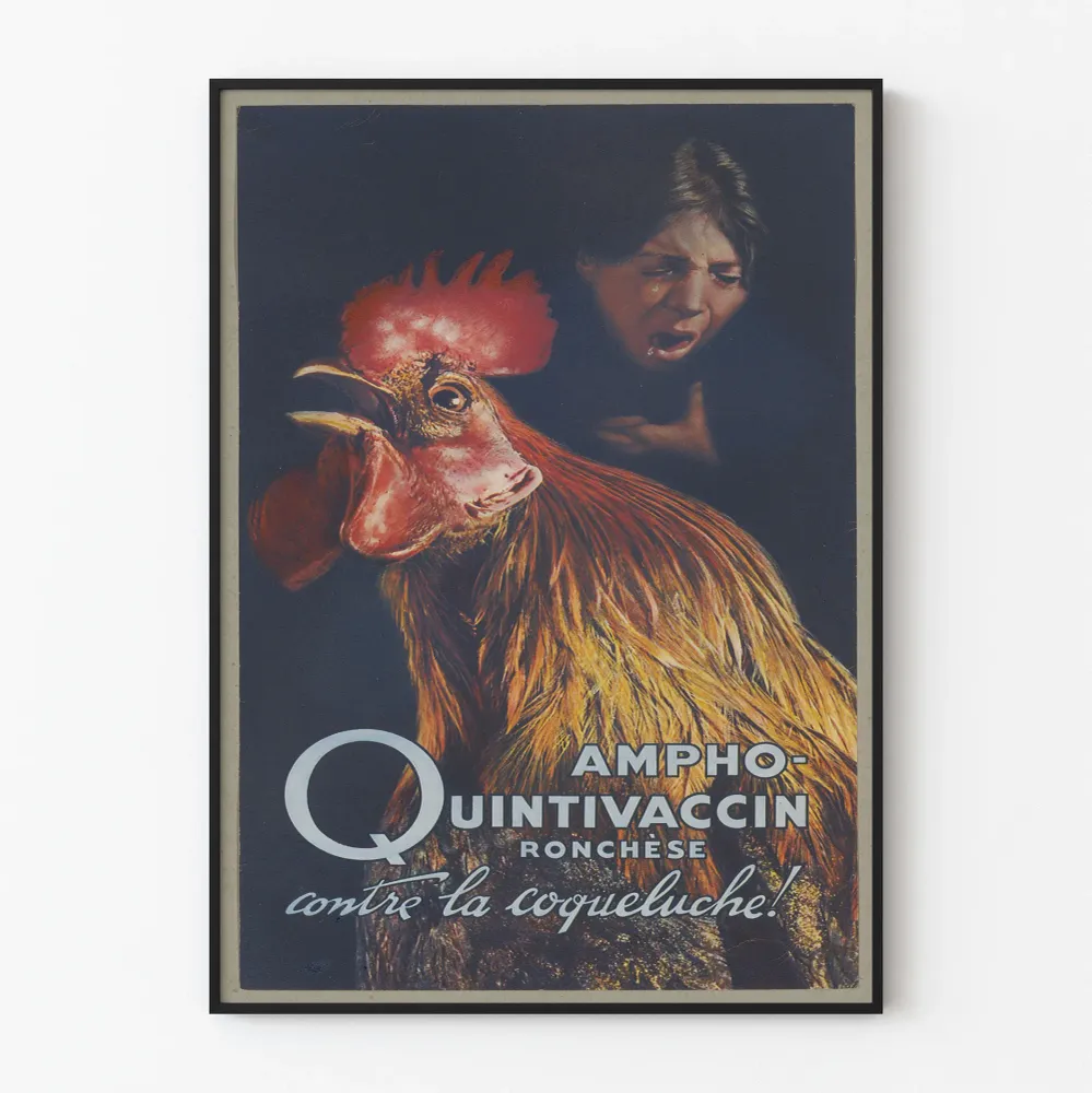 Affiche Vintage Ampho-Quintivaccin Ronchèse contre la Coqueluche