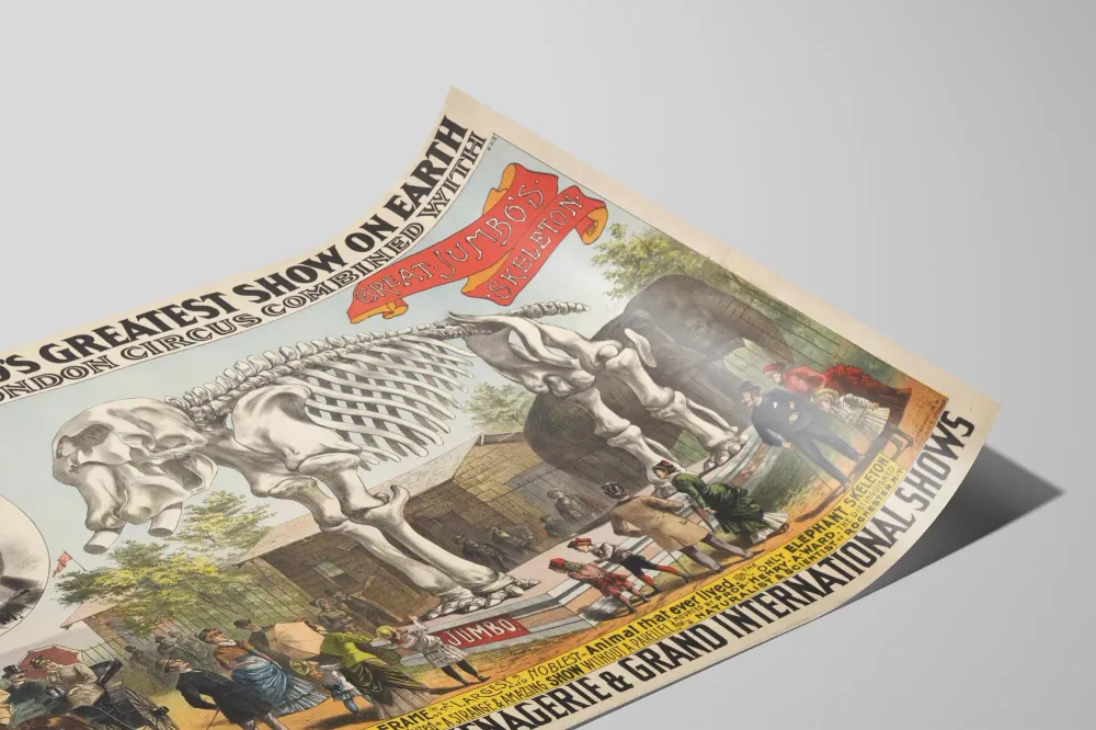 Affiche Vintage Barnum & Co – Squelette de Jumbo l'Éléphant