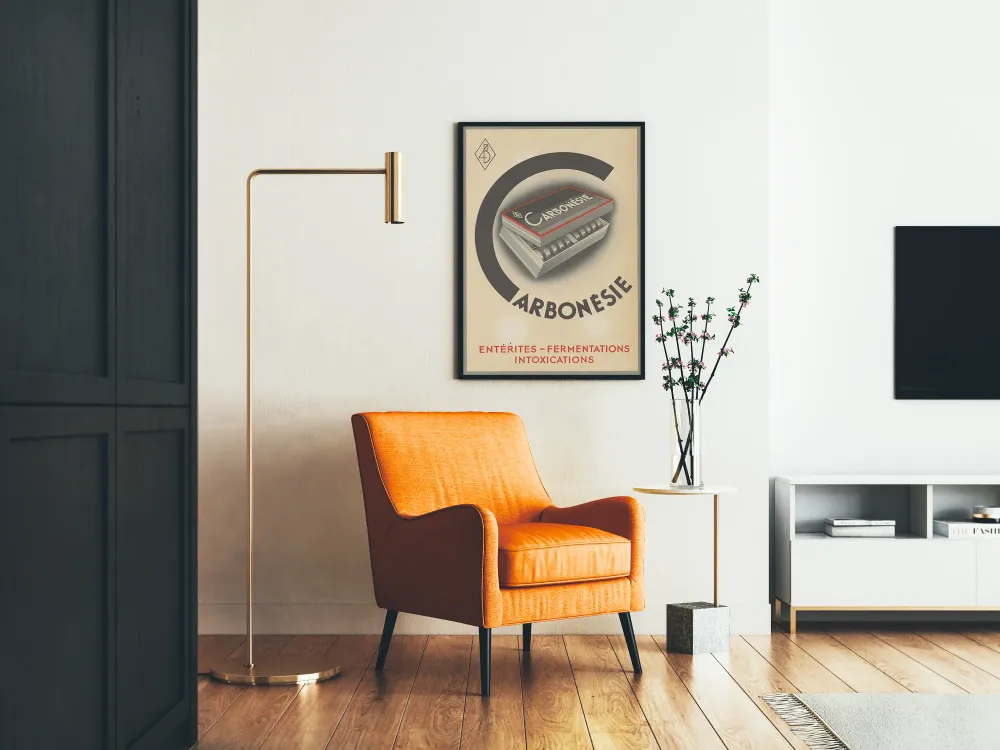 Affiche vintage Carbonésie pour décoration murale rétro