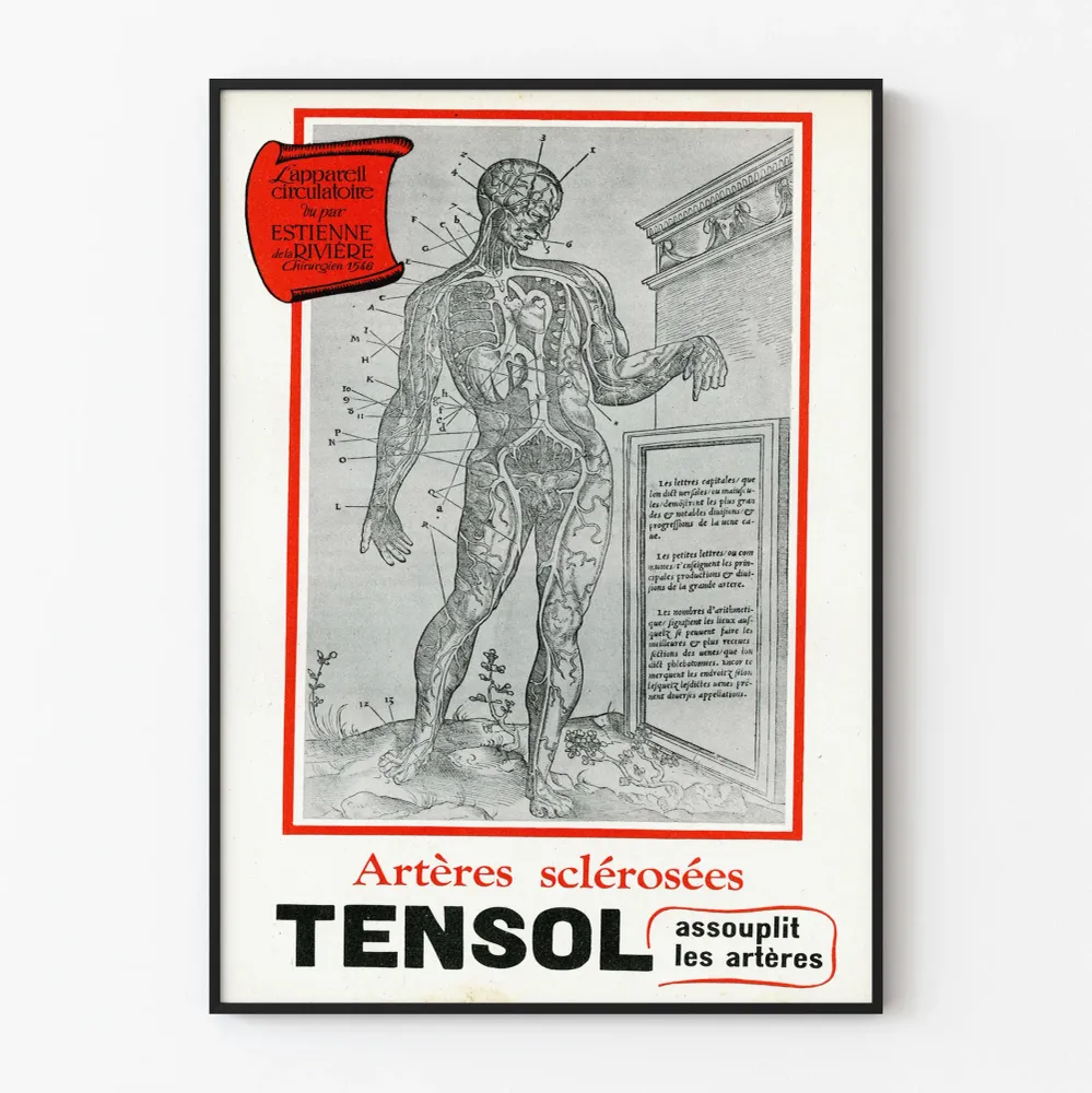 Affiche vintage médicale des artères scléreuses TENSOL