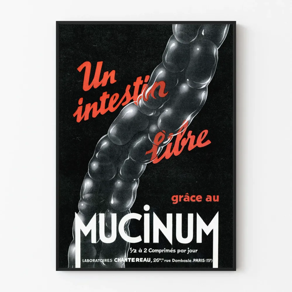 Affiche vintage médicale intestin libre Mucinum