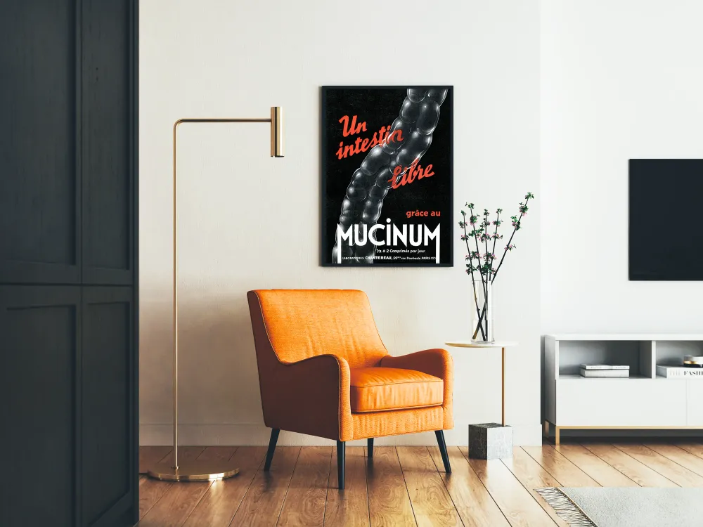 Affiche vintage médicale intestin libre Mucinum