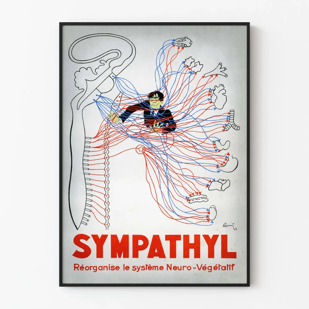 Affiche vintage médicale du système neuro-végétatif Sympathyl