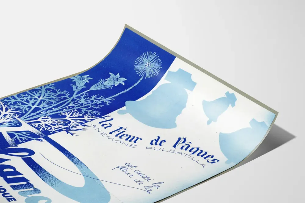 Affiche vintage Pulsamone Fleur de Pâques déco murale botanique