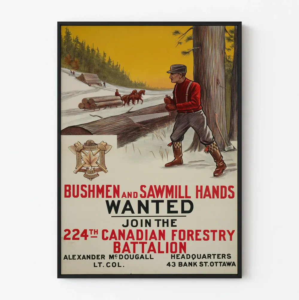 Affiche vintage de recrutement Bataillon Forestier Canadien 224ème