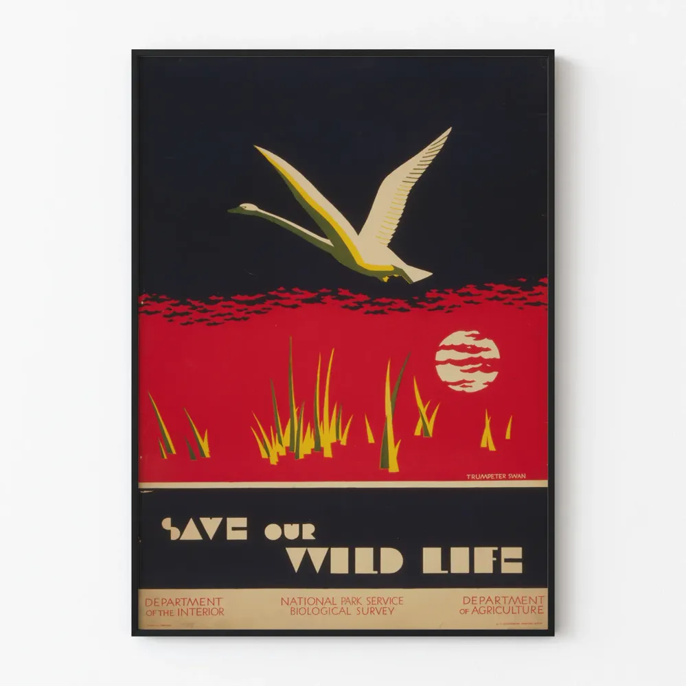 Affiche vintage Save Our Wild Life - Décoration murale nature