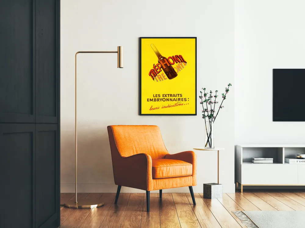 Affiche vintage Tréphonyl pour décoration murale rétro