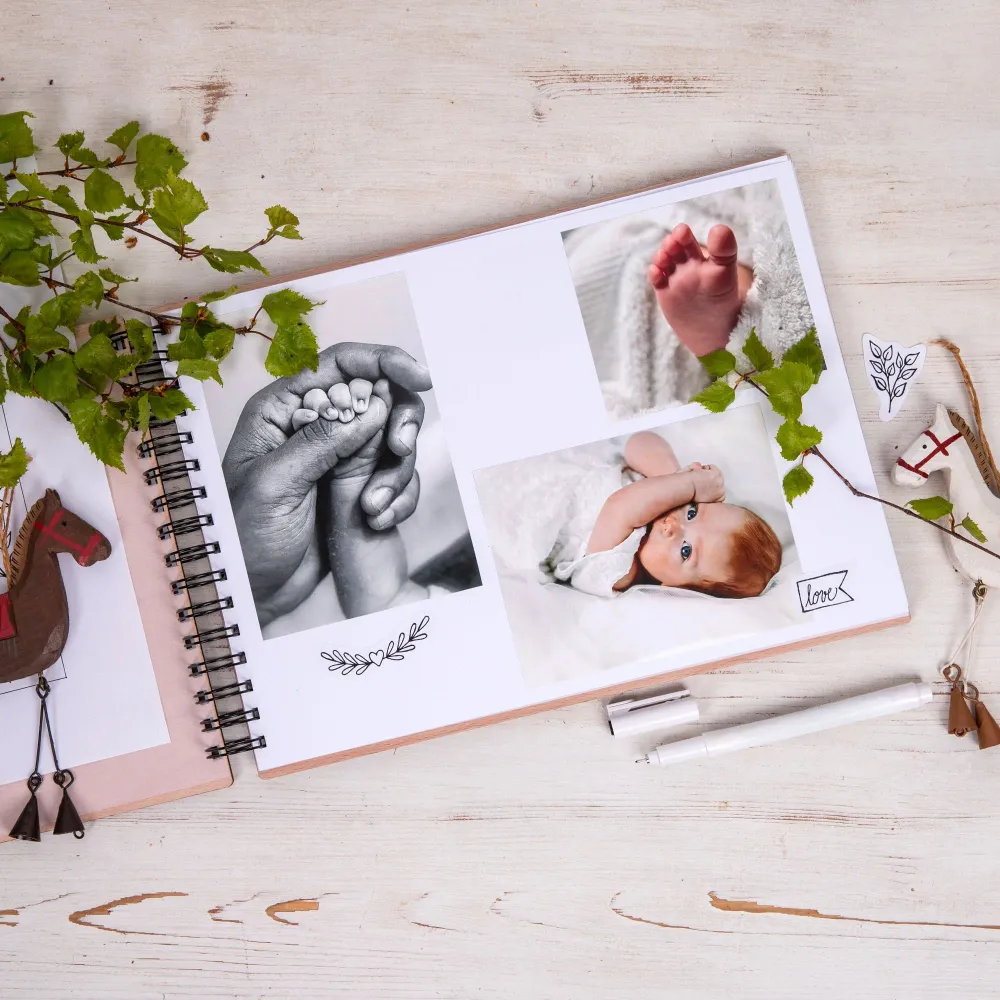 Album photo en bois, décor Elsa
