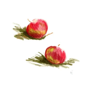 Les pommes Alexandra Dion Fortin