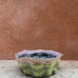 Salad Bowl Alice del Ferraro