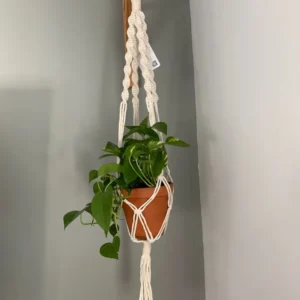 ALISMA - Jardinière suspendue en macramé