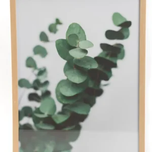 Cadre déco eucalyptus 48* 63 cm - Amadeus