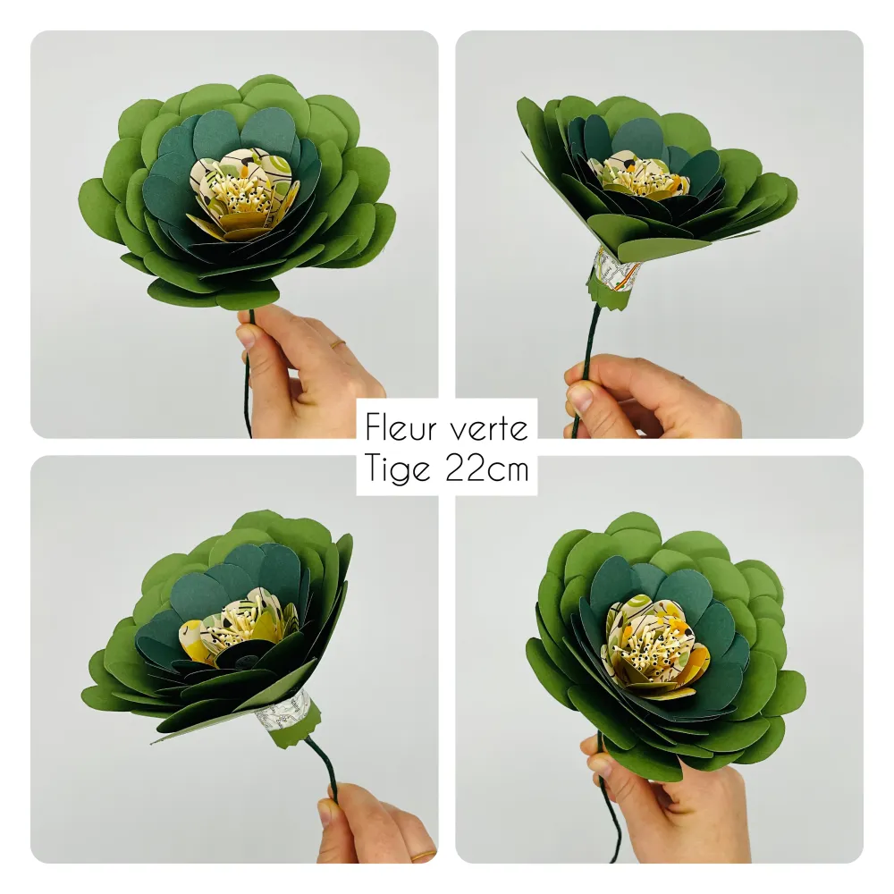 Fleur verte Amélie Pomélo