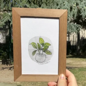 Gravure Plante en pot Amélie Pomélo