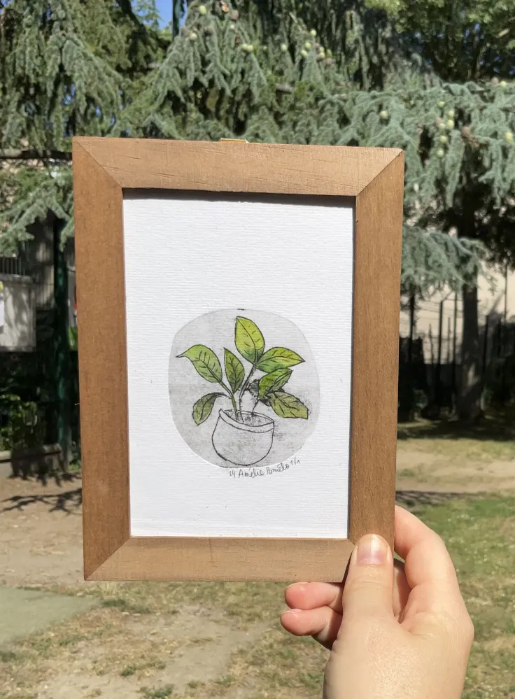 Gravure Plante en pot Amélie Pomélo