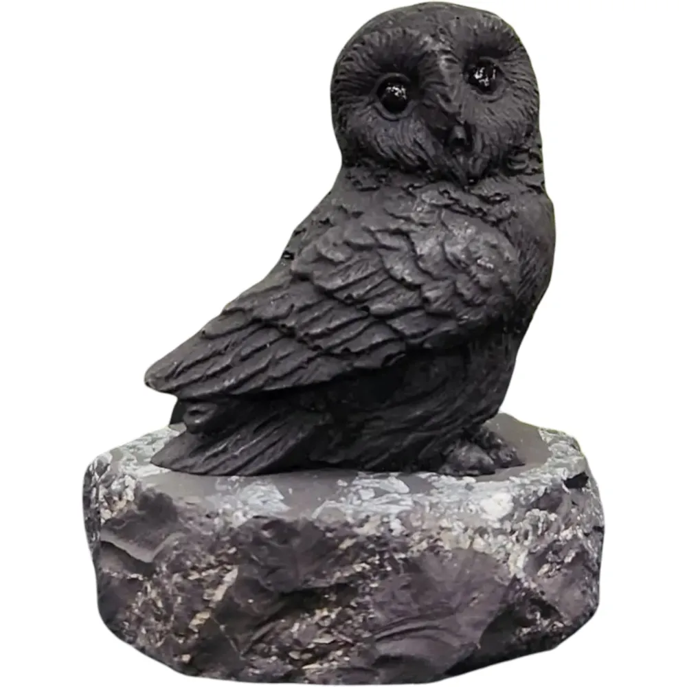 Déco Maison - Sculpture en Shungite - Hibou de Profil (5,7 x 4,4 x 5,7 cm) Arômes & Évasions