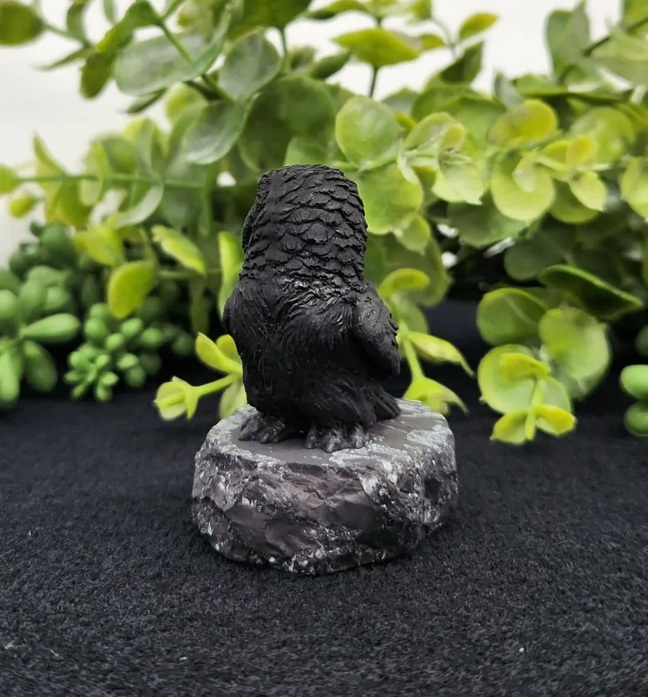 Déco Maison - Sculpture en Shungite - Hibou de Profil (5,7 x 4,4 x 5,7 cm) Arômes & Évasions