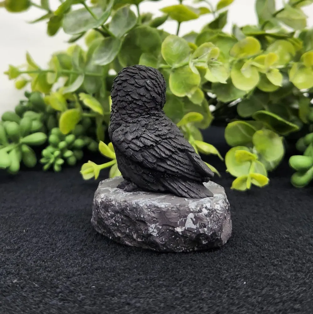 Déco Maison - Sculpture en Shungite - Hibou de Profil (5,7 x 4,4 x 5,7 cm) Arômes & Évasions