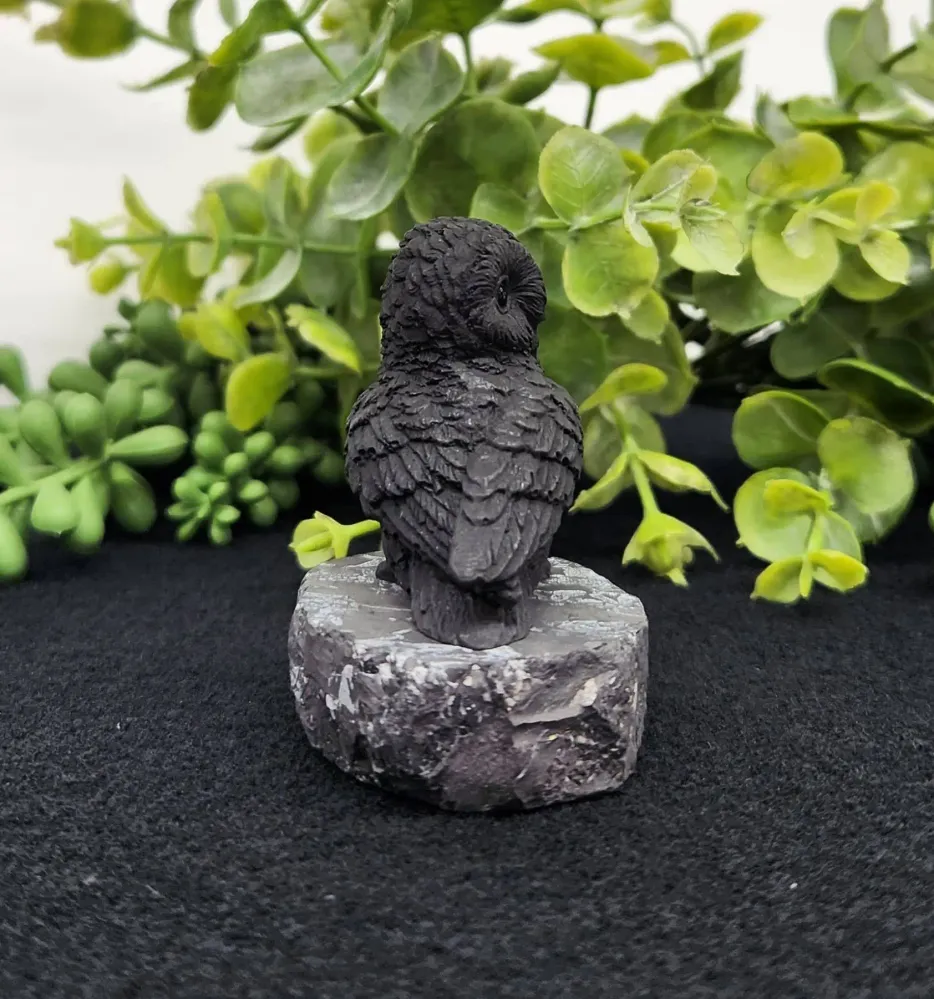 Déco Maison - Sculpture en Shungite - Hibou de Profil (5,7 x 4,4 x 5,7 cm) Arômes & Évasions