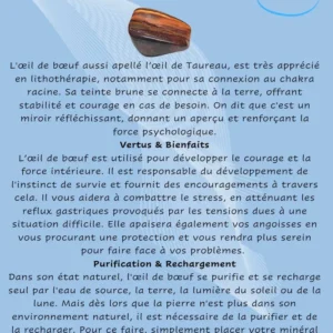 Fiche Descriptive -Pierres Précieuses & Cristaux -Œil de Bœuf Arômes & Évasions