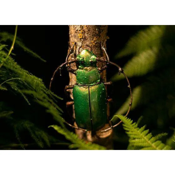 Scarabée vert PM - Insecte décoratif en métal recyclé Arrosoir & Persil