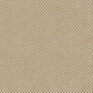 Damier Arte International