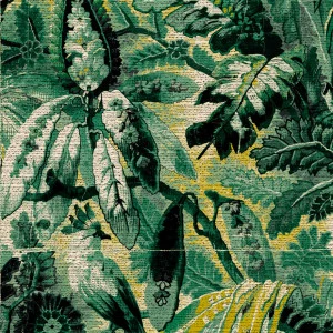 Tropicali Arte International