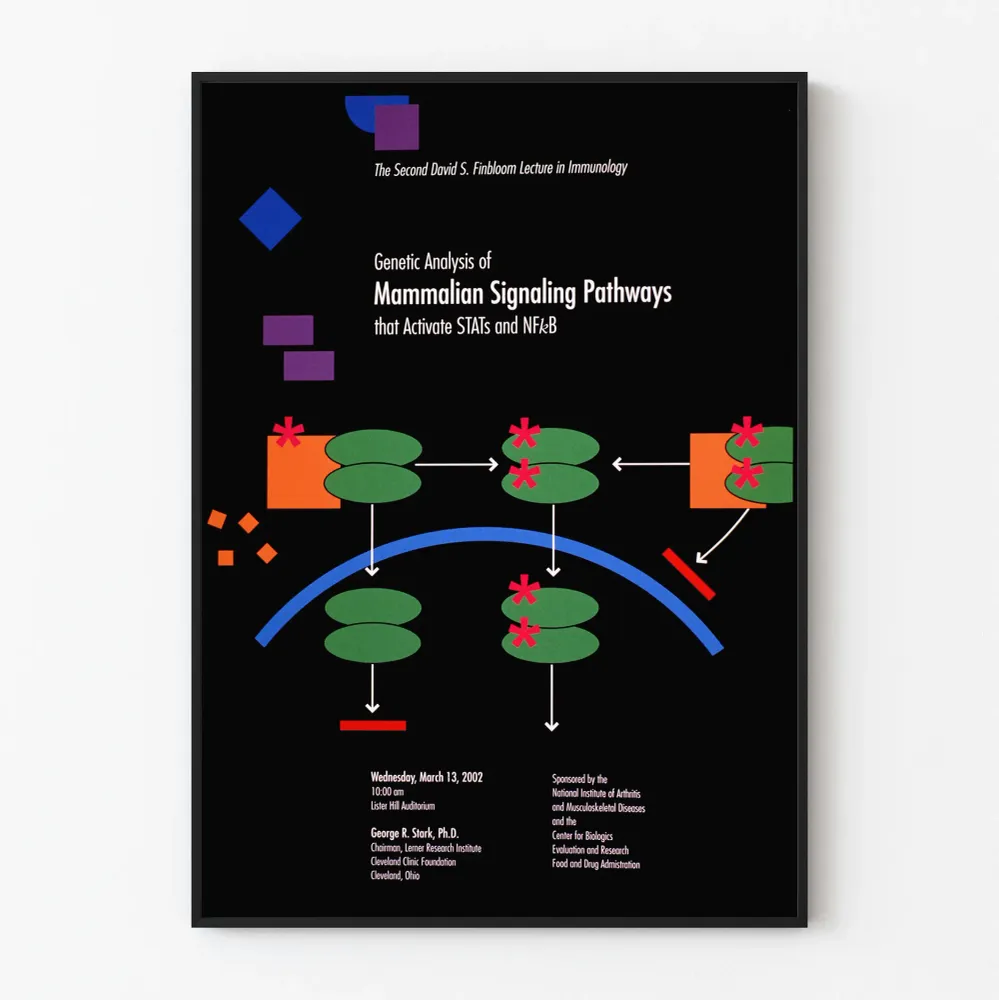 Affiche scientifique sur les Voies de Signalisation Mammaliennes activant STATs et NFκB Artem Legrand
