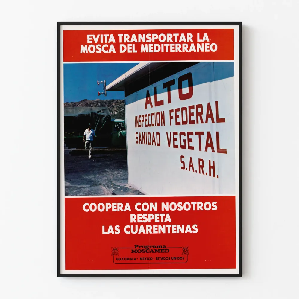 Affiche de sensibilisation à la lutte contre la mouche méditerranéenne Artem Legrand
