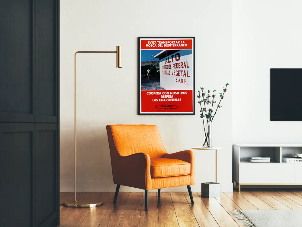 Affiche de sensibilisation à la lutte contre la mouche méditerranéenne Artem Legrand