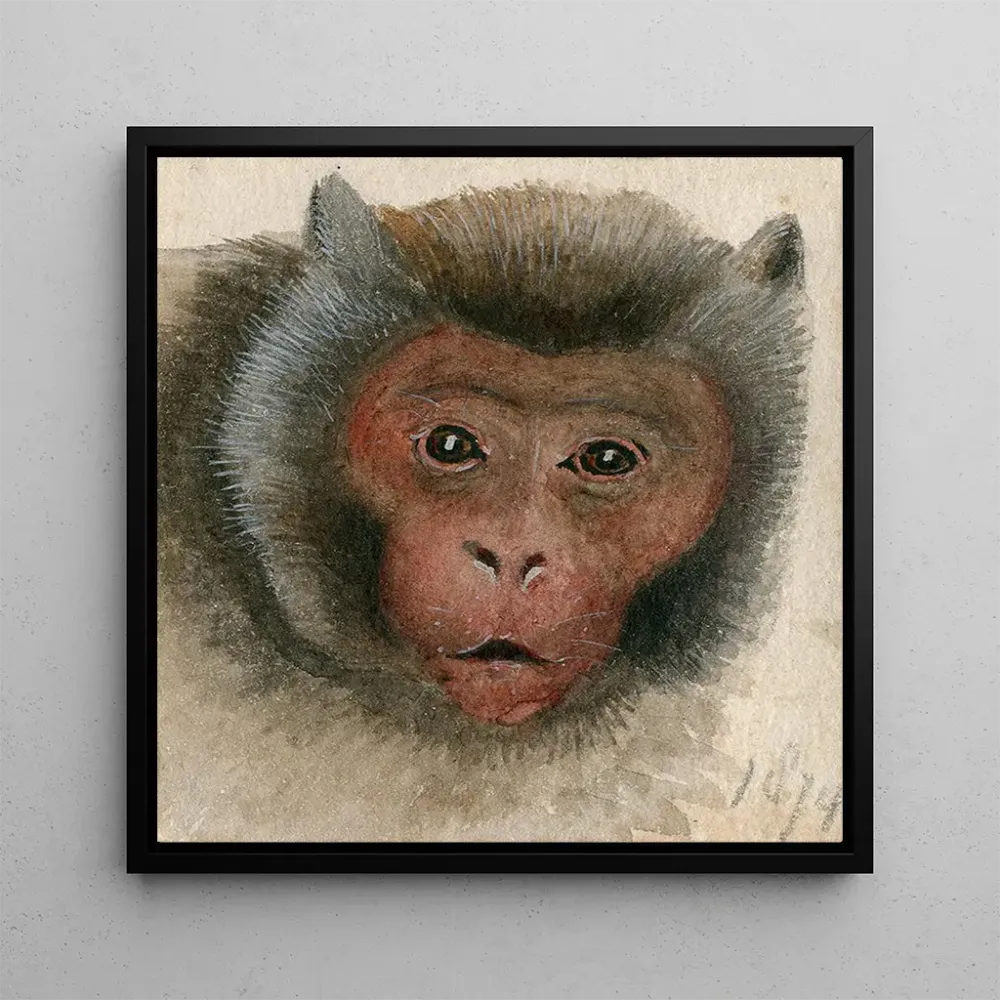 Tableau Tête d'un singe à longue queue - Floris Verster | Reproduction Artem Legrand