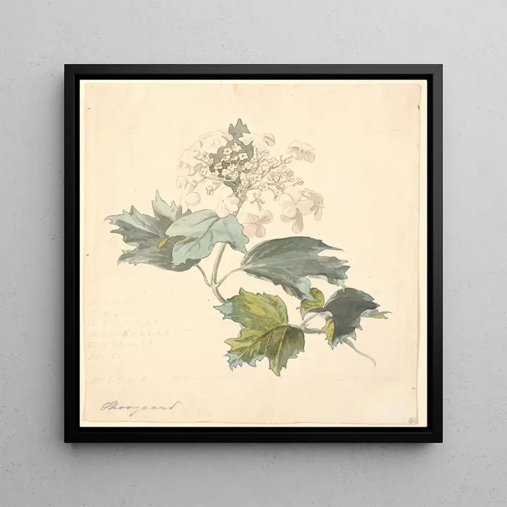 Tableau Viburnum de Kalkved - P C Skovgaard | Reproduction Artem Legrand